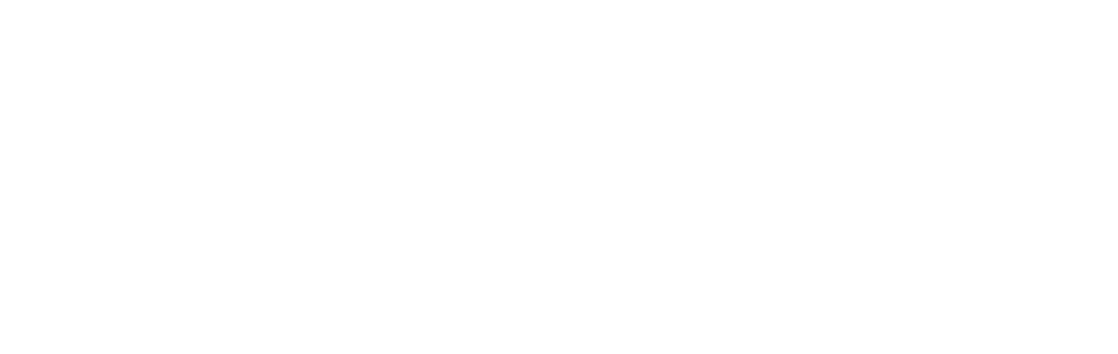 Vice